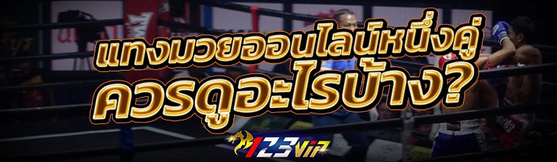 แทงมวยออนไลน์หนึ่งคู่ ควรดูอะไรบ้าง ?