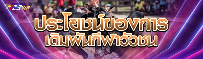 ประโยชน์ของการเดิมพันกีฬาวัวชน